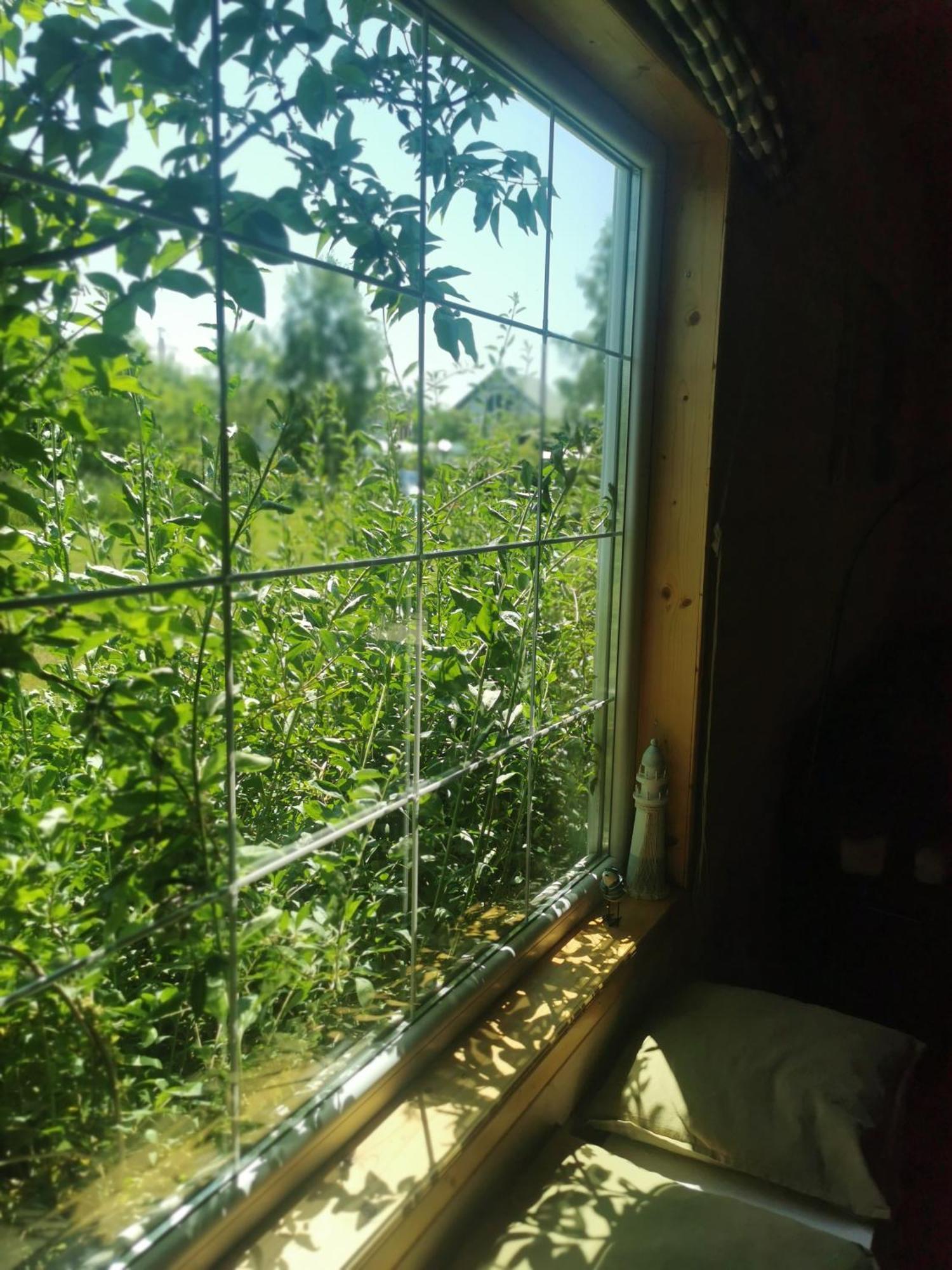 Stilove Wydmy Sasino Cameră foto